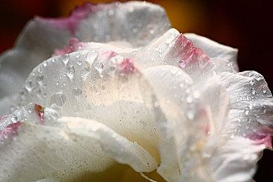 《失忆症：地堡》PC配置需求公布 5月16日发售